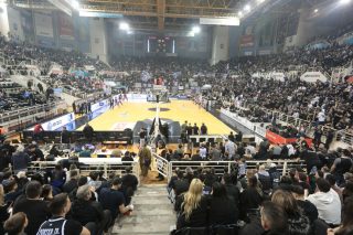 gipedo basket